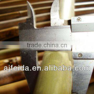 raw bamboo produce &bamboo cane