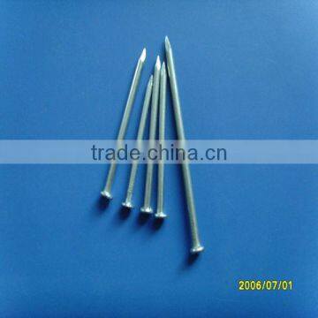 high quality common nails price/common round wire nails