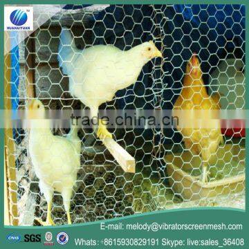 Hexagonal wire mesh netting anping hexagonal chicken wire mesh factory