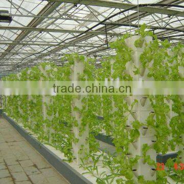 Glass Greenhouse for Agricultural (ISO9001:2000)