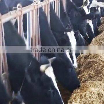 Feed Mixer China Price/vertical Mixer Feeder photo-4