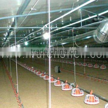 125x21x2.5m Light Steel Structure Chicken House in Middle East photo-3