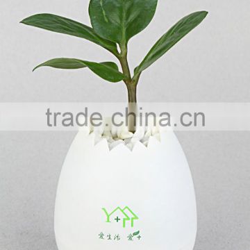 Fashion eggshell flower pot