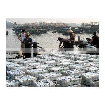 Zhejiang Zhoushan Jiaze Aquatic Co., Ltd.