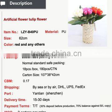 Colorful Wholesale Cheap Tulip Flower for Decoration photo-2