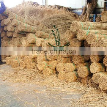 water reed bundles