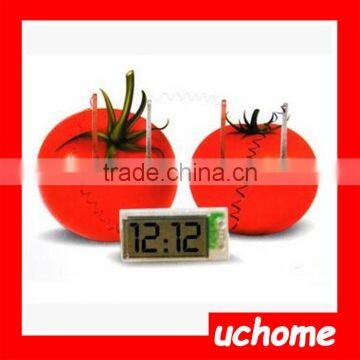 UCHOME Green Science DIY Potato Battery Clock Set