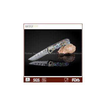 Damascus steel hunting tactical knife