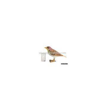 Wireless Animal Door Bell(RD-368)