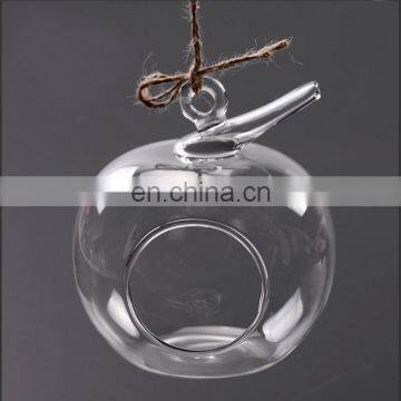 hanging terrarium glass terrarium plants home decoration