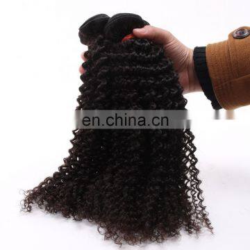 Best Selling Virgin Mongolian Kinky Curly Hair Wholesale Virgin Hair photo-6
