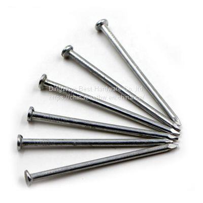 Common Nails photo-2