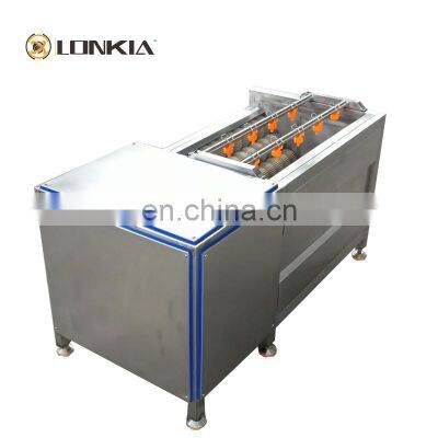 Commercial Brush Roller Cleaning Beet Peeler Machine Beetroot Peeling and Washing Machine photo-2