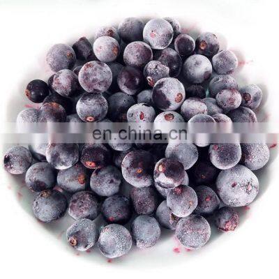 High Brix Berries Fruit Ribes Nigrum IQF Frozen Black Currant