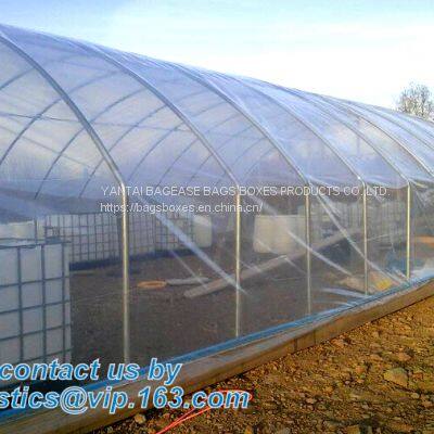 Plastic Film Agriculture Greenhouse,6 Mil Poly Anti-uv Plastic Greenhouse Film,Anti-fog UV Resistant,mushroom,TOMATO PAC photo-3