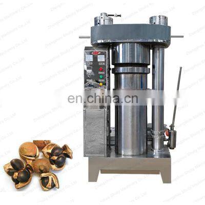 Hot Sale Hydraulic Sesame Sunflower Seeds Oil Press Machine Avocado Oil Press Machine with Good Price