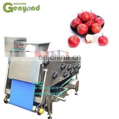 Small 500kg/h belt juicer