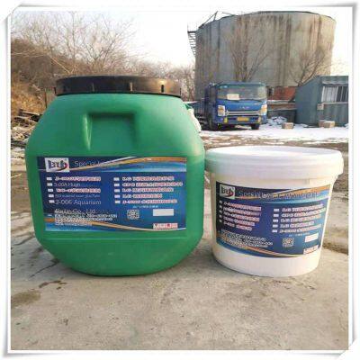 Waterborne Epoxy Resin Mortar, Repair and Reinforcement Material for Power Plant, Highway and Bridge, Wanji Brand photo-3