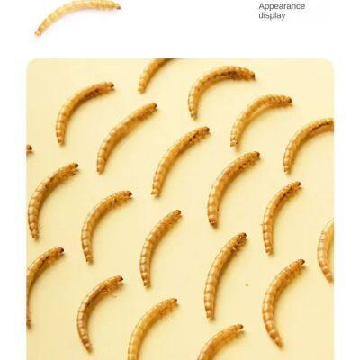 Pet Food Microwave Fish and Shrimp