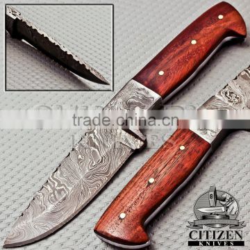 CITIZEN KNIVES, BEAUTIFUL CUSTOM HAND MADE DAMASCUS STEEL HUNTING KNIF