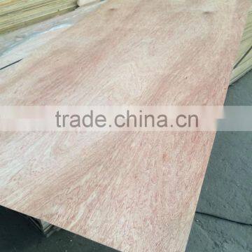 Commercial Plywood photo-4