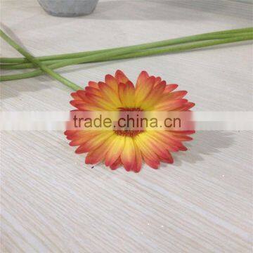 Fresh Cut Flower Of Stem 45-60 cm Gerbera Popular Wholesale photo-6