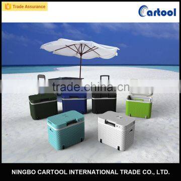 Electric Portable Beverage Cooler, Thermoelectric Car Boat Fridge