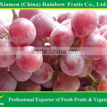 Global Grpaes/fresh Grapes Price