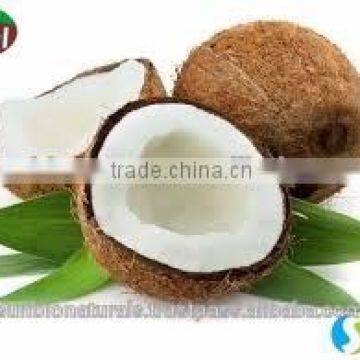 Coconut Oil Best Exporters