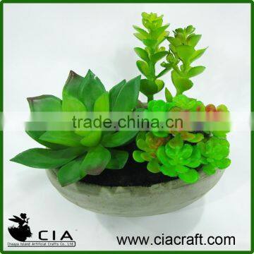 Mini Artificial Pottery Potted Echeveria Succulent Table Plants for Sale