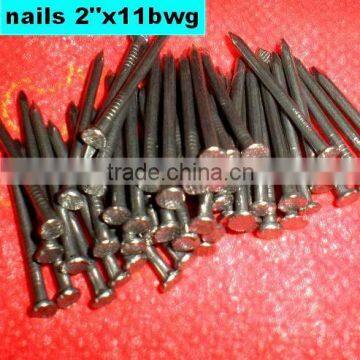 Libya Market Nails photo-3