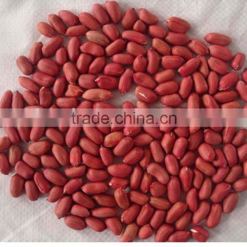 peanut kernels red skin