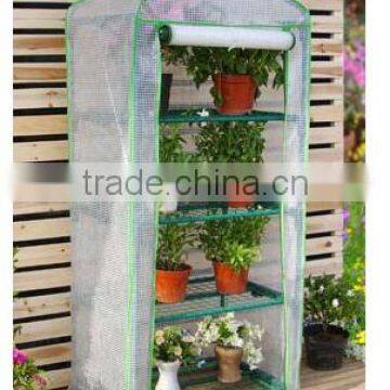 Cold Frame Greenhouses (TK21005-E)