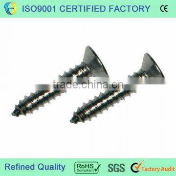 Flat head phillips screw