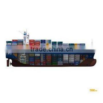 Shipping service from Ningbo to Cotonou/Abidjan/Apapa/Lagos/Matadi/West Africa------jessie zhou