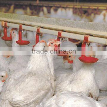 Poultry Farm Ground Raising Chicken Broiler Equipment photo-3