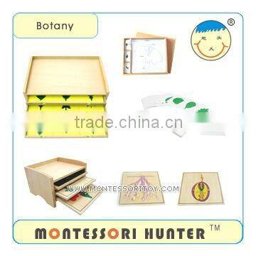 Montessori Toys Botany Series