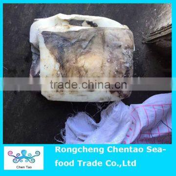 Frozen skin on giant squid fillet