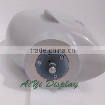 Beautiful Wholesale Cosmetology Mannequin Heads photo-4