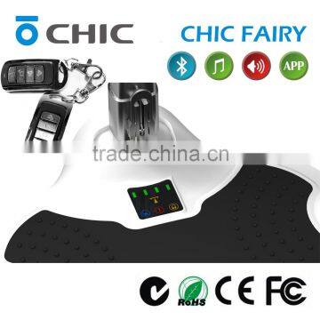 Balancing Standing Scooter CHIC FAIRY 2 Wheel Stand up Electric Scooter photo-5