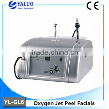 Salon YL-GL6 Oxygen Jet Peel Machine With Good Effect Oxygen Facial Equipment