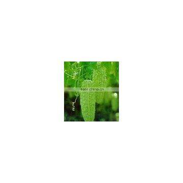 Chinese herbal medicine Bitter Melon Extract