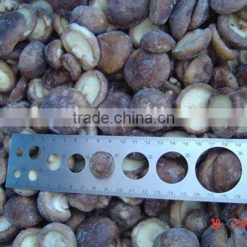 Supply Frozen whole shiitake