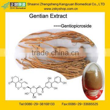 GMP Factory Supply Natural Gentian Extract