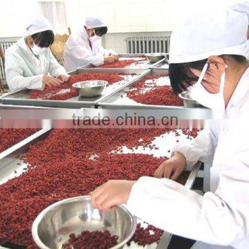 EU Certificate Organic Goji Berries Factory Supply photo-2