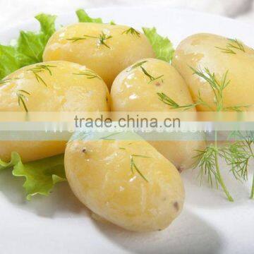 2016 Vegetable and Fruit Processing Line Sweet Potato Washing and Peeling Machine photo-2