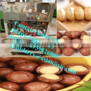 queensland nut cracking machine/macadamia nuts tapping machines