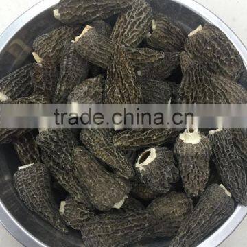 Chinese dried morels mushroom