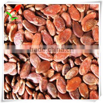 Chinese red watermelon seeds