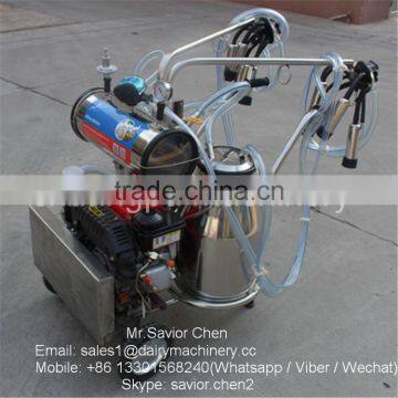 Diesel Engine Single Cow Milking Machine For 20 Cows Farm photo-5